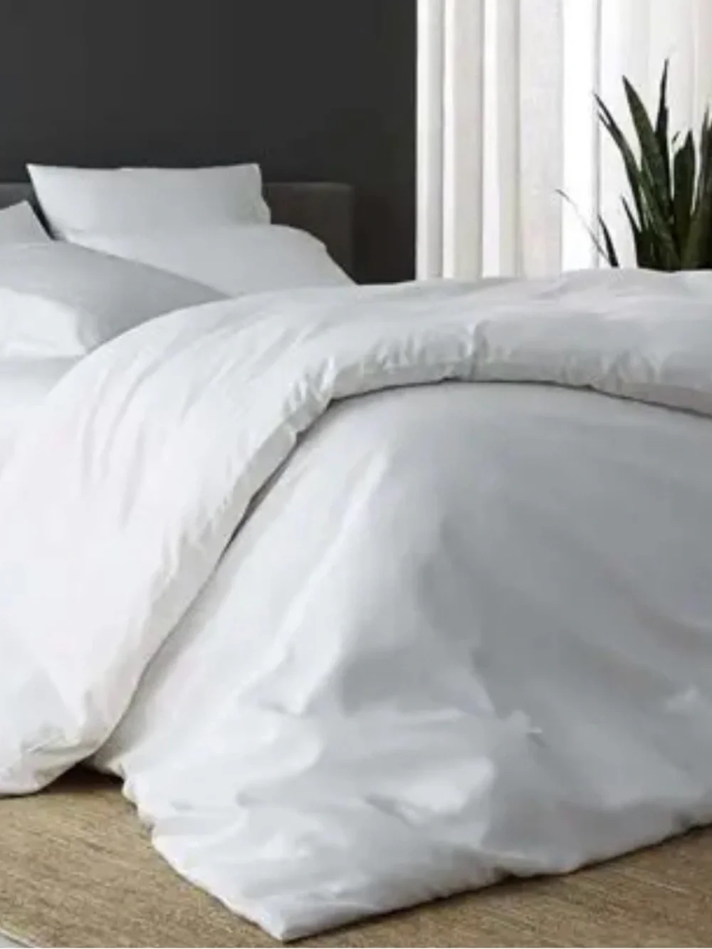 Sijo soft white